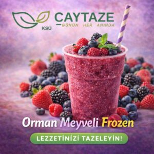 Orman Meyveli Frozen
